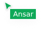 Ansar-mouse